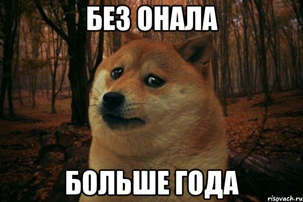 Без онала Больше года, Мем SAD DOGE