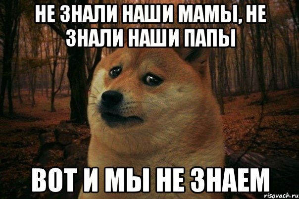 НЕ ЗНАЛИ НАШИ МАМЫ, НЕ ЗНАЛИ НАШИ ПАПЫ ВОТ И МЫ НЕ ЗНАЕМ, Мем SAD DOGE