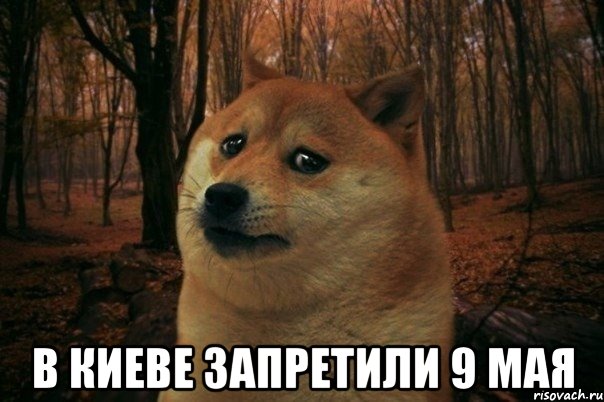  В КИЕВЕ ЗАПРЕТИЛИ 9 МАЯ, Мем SAD DOGE