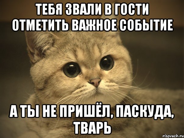 Тебя звали в гости отметить важное событие А ты не пришёл, паскуда, тварь, Мем Пидрила ебаная котик