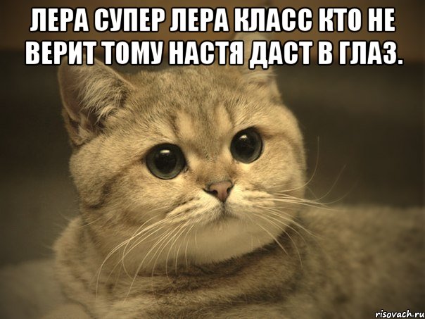 Лера супер Лера Класс Кто не Верит тому Настя Даст в глаз. , Мем Пидрила ебаная котик