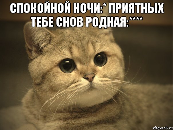 Спокойной ночи:* Приятных тебе снов родная:**** , Мем Пидрила ебаная котик