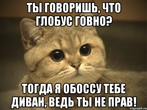 ТЫ ГОВОРИШЬ, ЧТО ГЛОБУС ГОВНО? ТОГДА Я ОБОССУ ТЕБЕ ДИВАН, ВЕДЬ ТЫ НЕ ПРАВ!, Мем Пидрила ебаная котик