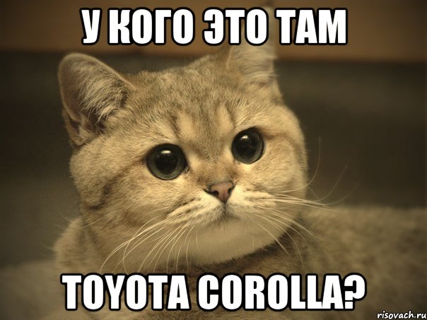 У КОГО ЭТО ТАМ TOYOTA COROLLA?, Мем Пидрила ебаная котик