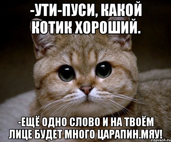 -Ути-пуси, какой котик хороший. -Ещё одно слово и на твоём лице будет много царапин.МЯУ!, Мем Пидрила Ебаная