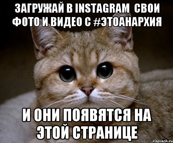 ЗАГРУЖАЙ В INSTAGRAM  СВОИ ФОТО И ВИДЕО С #ЭТОАНАРХИЯ И ОНИ ПОЯВЯТСЯ НА ЭТОЙ СТРАНИЦЕ, Мем Пидрила Ебаная