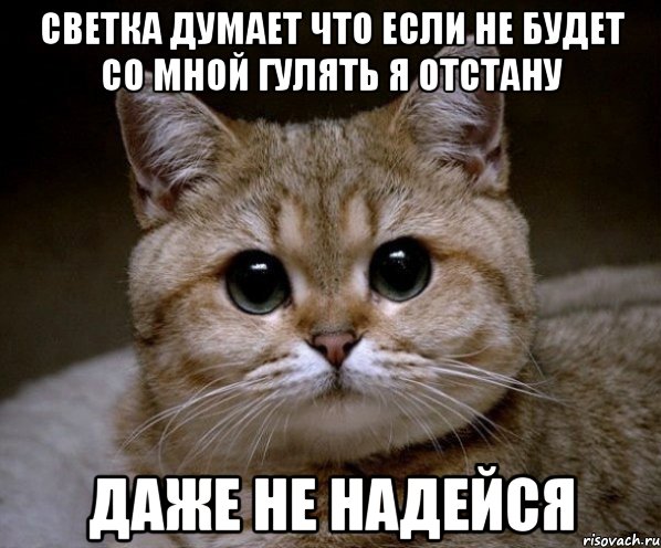 Светка думает что если не будет со мной гулять я отстану даже не надейся, Мем Пидрила Ебаная