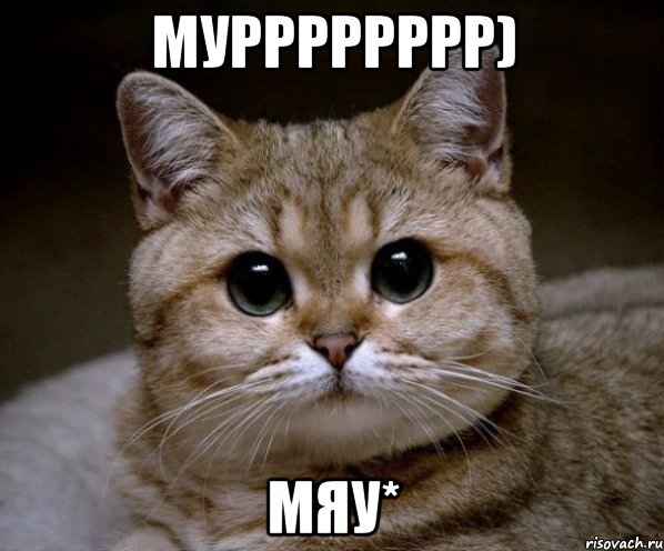 Мурррррррр) Мяу*, Мем Пидрила Ебаная