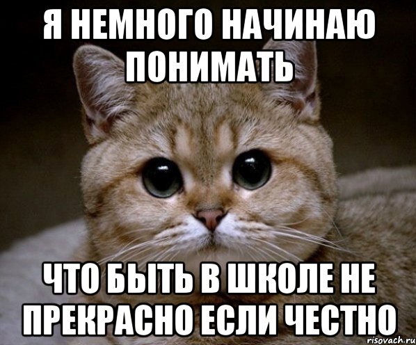 я немного начинаю понимать что быть в школе не прекрасно если честно, Мем Пидрила Ебаная