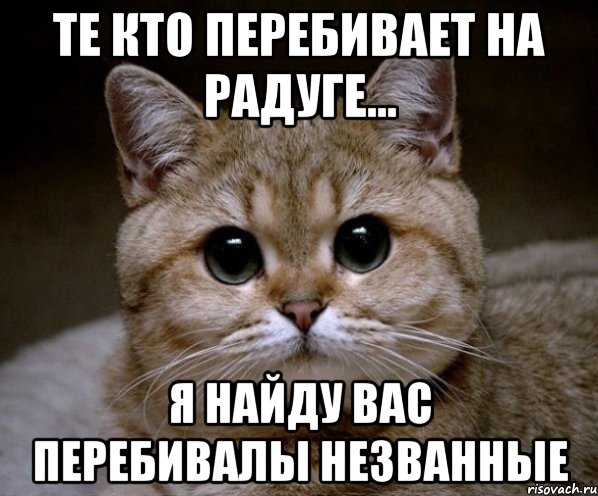 Те кто перебивает на радуге... я найду вас Перебивалы незванные, Мем Пидрила Ебаная