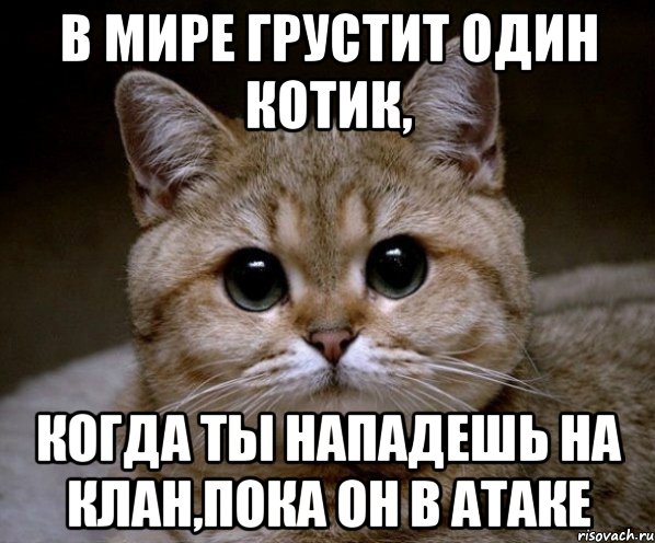 В мире грустит один котик, Когда ты нападешь на клан,пока он в атаке, Мем Пидрила Ебаная