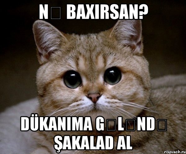 Nə baxırsan? Dükanıma gələndə şakalad al, Мем Пидрила Ебаная