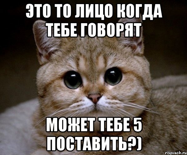 Это то лицо когда тебе говорят Может тебе 5 поставить?), Мем Пидрила Ебаная