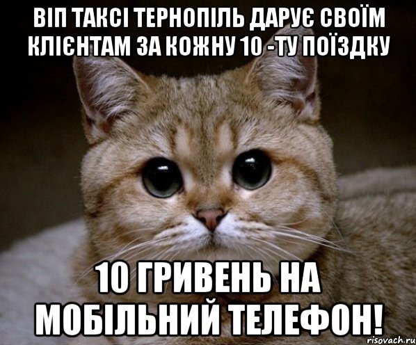 Віп таксі Тернопіль дарує своїм клієнтам за кожну 10 -ту поїздку 10 гривень на мобільний телефон!, Мем Пидрила Ебаная