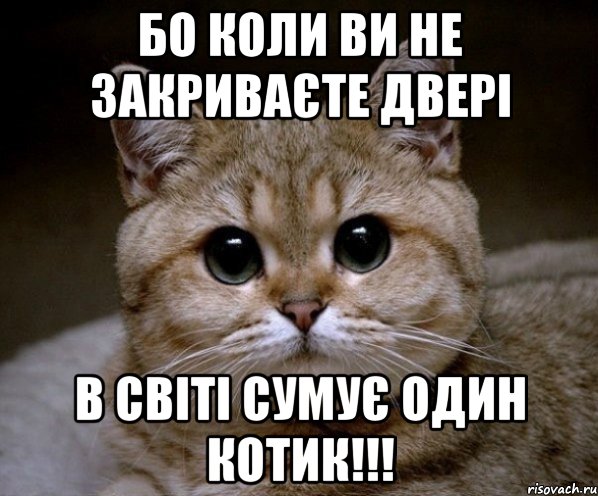 БО коли ви не закриваєте двері в світі сумує один котик!!!, Мем Пидрила Ебаная