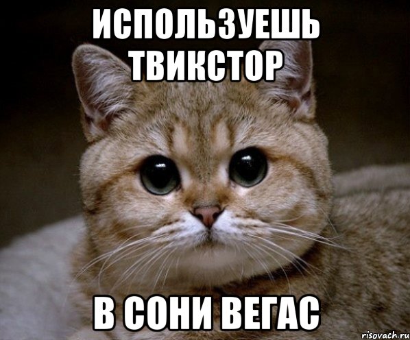 используешь твикстор в сони вегас, Мем Пидрила Ебаная