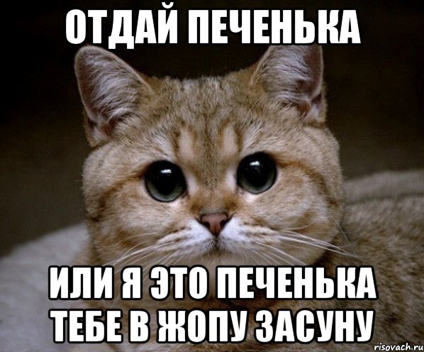 отдай печенька или я это печенька тебе в жопу засуну, Мем Пидрила Ебаная