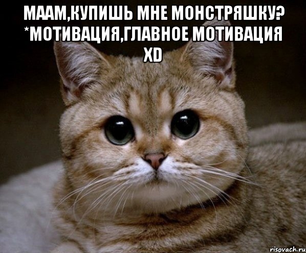 Маам,купишь мне монстряшку? *Мотивация,главное мотивация ХD , Мем Пидрила Ебаная