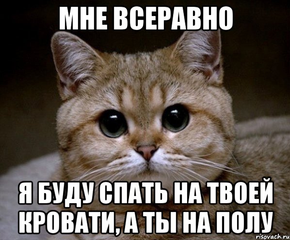 мне всеравно я буду спать на твоей кровати, а ты на полу, Мем Пидрила Ебаная