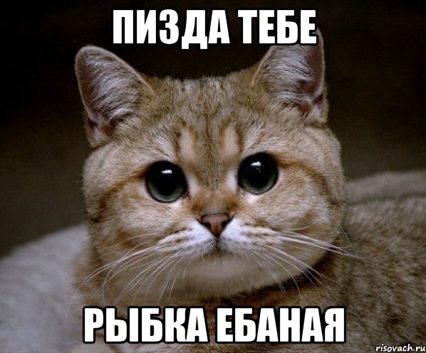 пизда тебе рыбка ебаная, Мем Пидрила Ебаная