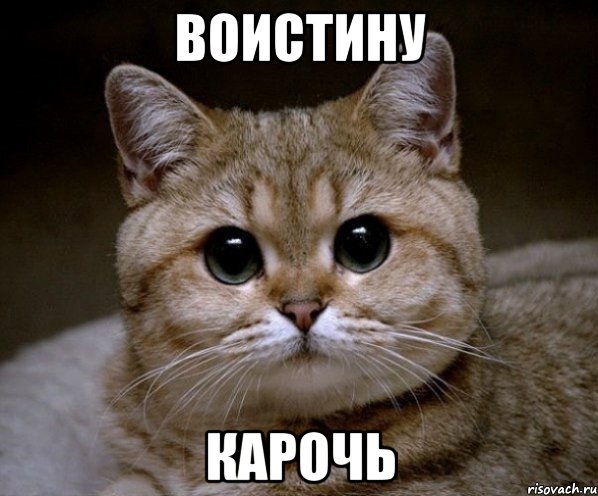 воистину карочь, Мем Пидрила Ебаная