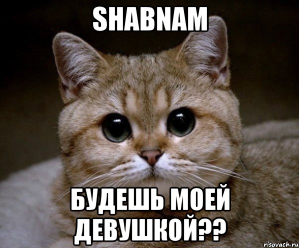 ShaBnAm БУДЕШЬ МОЕЙ ДЕВУШКОЙ??, Мем Пидрила Ебаная