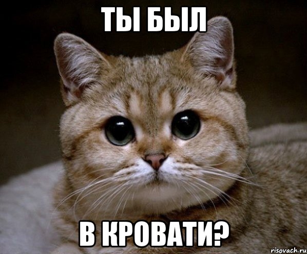Ты был В кровати?, Мем Пидрила Ебаная