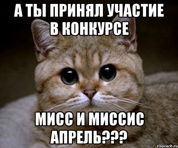 А ты принял участие в конкурсе Мисс и Миссис Апрель???, Мем Пидрила Ебаная