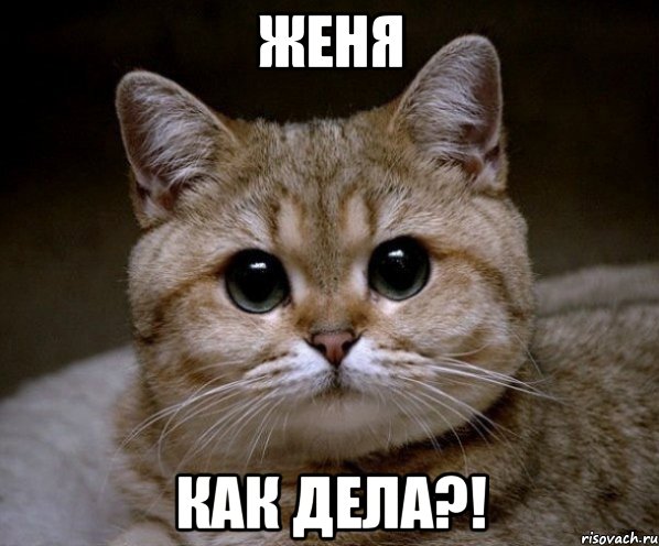 Женя Как дела?!, Мем Пидрила Ебаная
