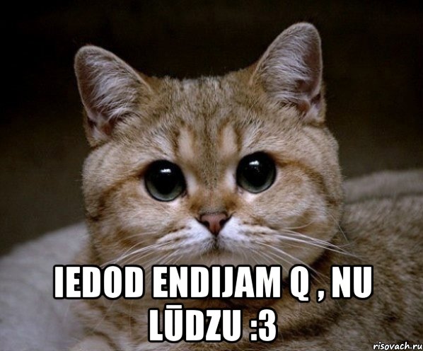  Iedod Endijam Q , nu lūdzu :3, Мем Пидрила Ебаная