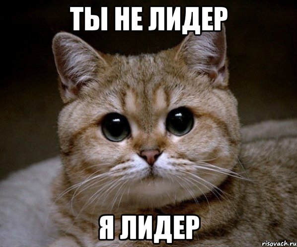 ты не лидер я лидер, Мем Пидрила Ебаная
