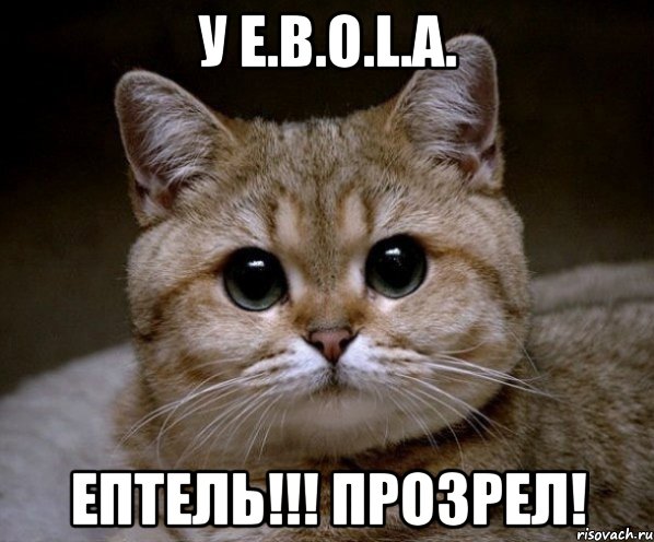 у E.b.o.l.a. ептель!!! прозрел!, Мем Пидрила Ебаная