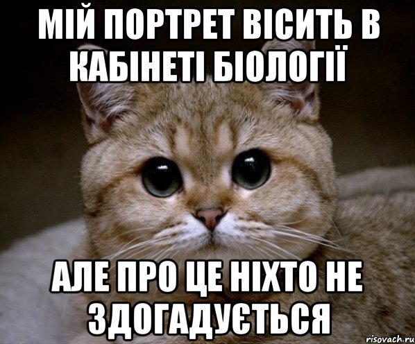 мій портрет вісить в кабінеті біології але про це ніхто не здогадується, Мем Пидрила Ебаная