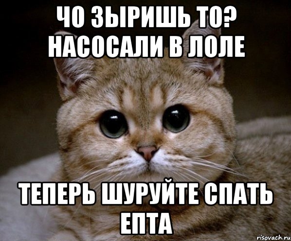 Чо зыришь то? Насосали в лоле теперь шуруйте спать епта, Мем Пидрила Ебаная