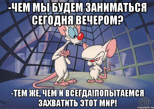 -Чем мы будем заниматься сегодня вечером? -Тем же, чем и всегда!Попытаемся захватить этот мир!