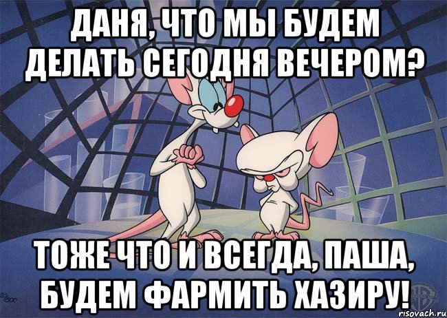 Даня, что мы будем делать сегодня вечером? Тоже что и всегда, Паша, будем фармить Хазиру!, Мем ПИНКИ И БРЕЙН