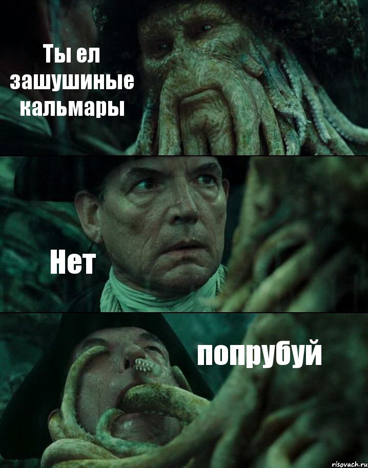 Ты ел зашушиные кальмары Нет попрубуй