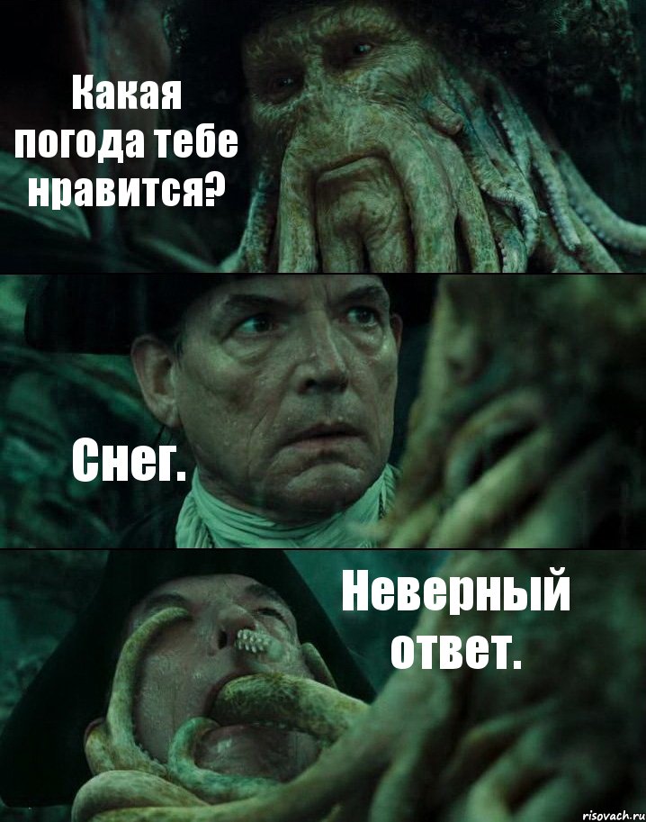 Какая погода тебе нравится? Снег. Неверный ответ.
