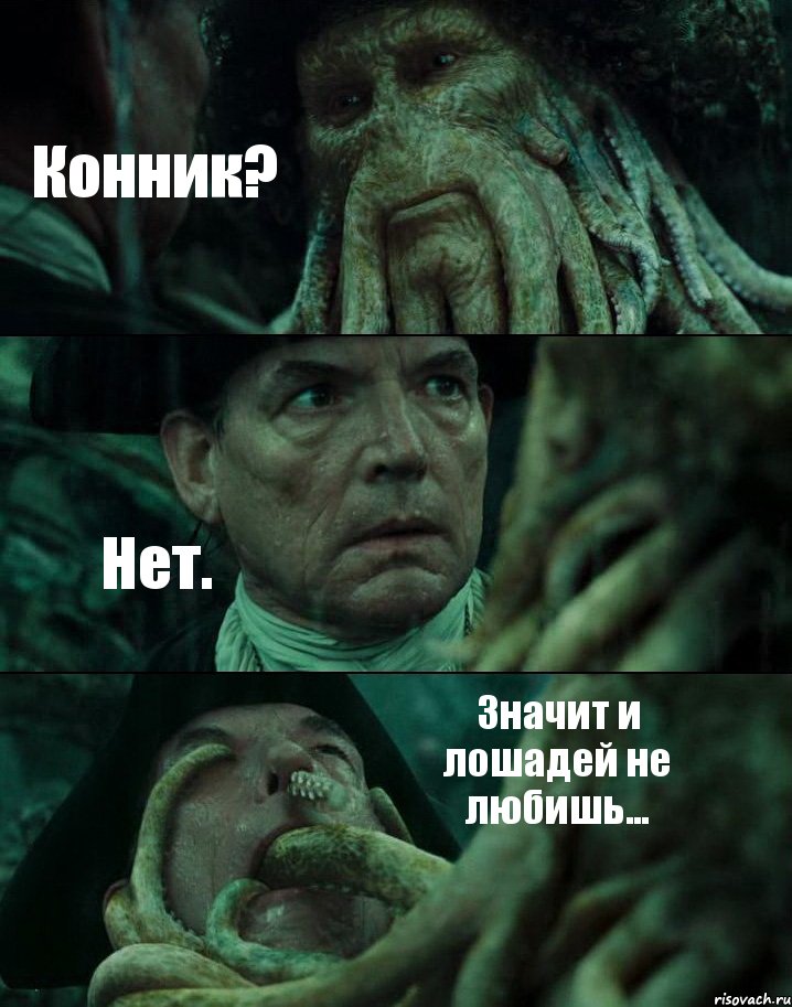 Конник? Нет. Значит и лошадей не любишь...