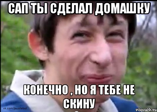 Сап ты сделал домашку Конечно , но я тебе не скину, Мем Пиздабол (врунишка)