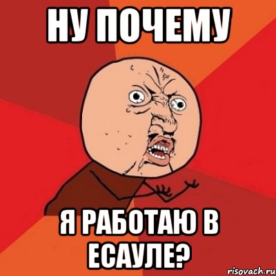Ну почему Я Работаю в Есауле?, Мем Почему