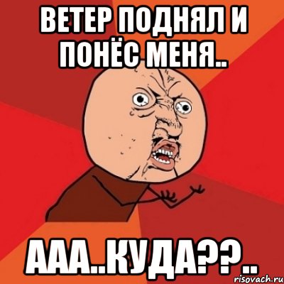 ветер поднял и понёс меня.. ааа..куда??.., Мем Почему