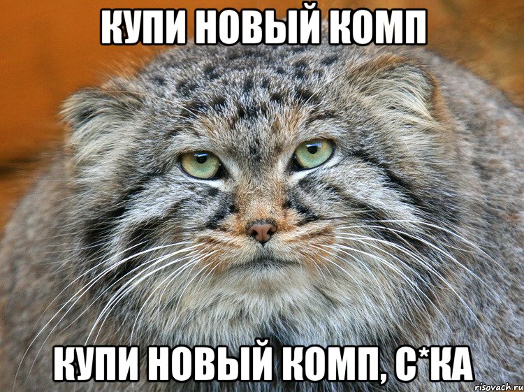 КУПИ НОВЫЙ КОМП КУПИ НОВЫЙ КОМП, С*КА