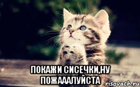  Покажи сисечки,ну пожааалуйста