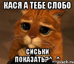 Кася а тебе слобо сиськи показать?^_^, Мем Кот из Шрека