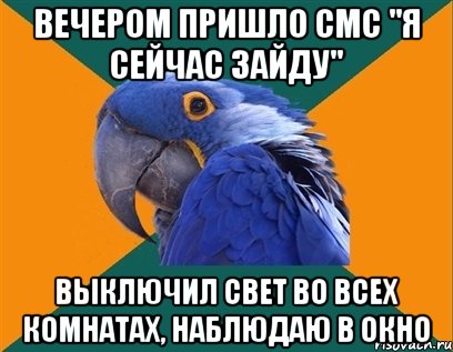 ВЕЧЕРОМ ПРИШЛО СМС "Я СЕЙЧАС ЗАЙДУ" ВЫКЛЮЧИЛ СВЕТ ВО ВСЕХ КОМНАТАХ, НАБЛЮДАЮ В ОКНО, Мем Попугай параноик