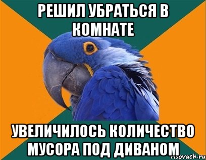 решил убраться в комнате увеличилось количество мусора под диваном, Мем Попугай параноик