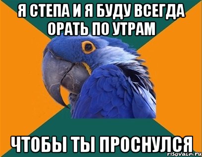 я Степа и я буду всегда орать по утрам чтобы ты проснулся, Мем Попугай параноик