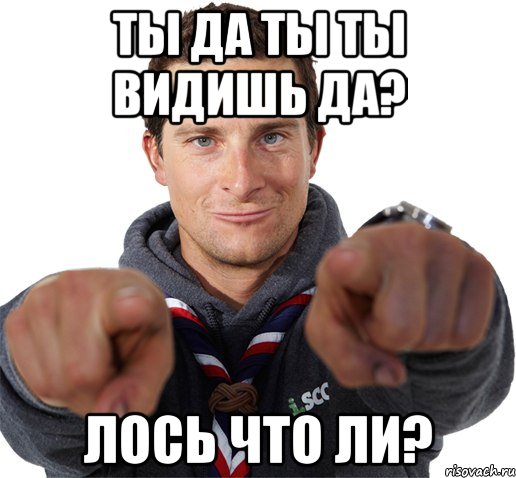 ты да ты ты видишь да? лось что ли?