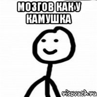 Мозгов как у камушка 